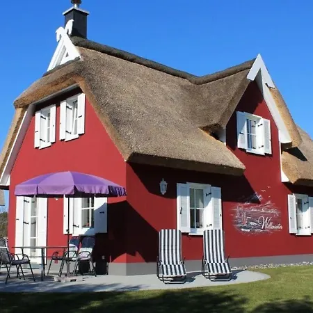 Surfer Modern Retreat