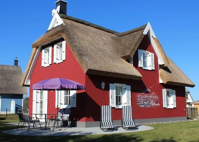 Surfer Modern Retreat